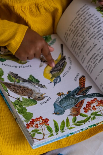 A child points at colorful bird illustrations in an educational book.